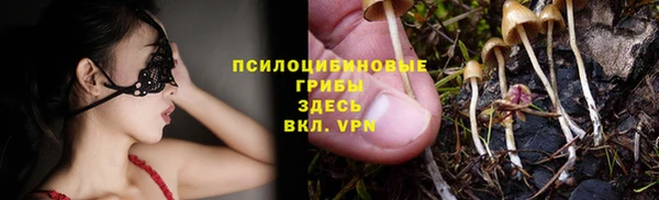 дурь Алексин