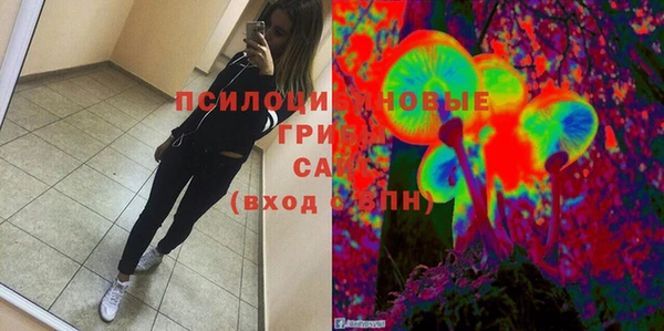 дурь Алексин