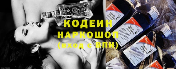 дурь Алексин