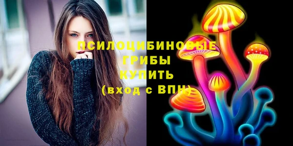 дурь Алексин
