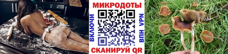 Галлюциногенные грибы Psilocybe  Купить закладки  Нарьян-Мар 